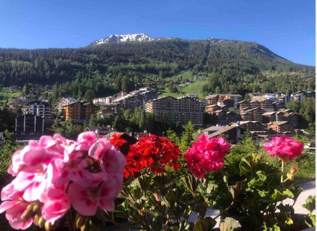 Sunny Swiss Mountain Studio In Centre By Jolidi Nendaz Bagian luar foto